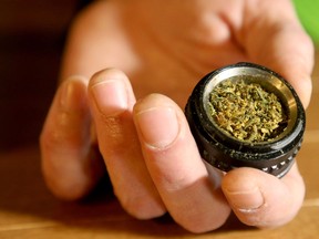 A closeup of about half a gram of marijuana.
