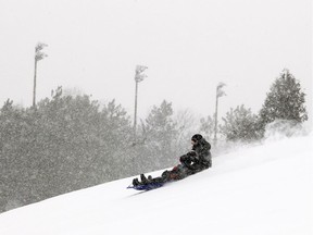 It was perfect weather to pull out the toboggans like this crew that hit Mooney's Bay hill for some sliding fun Saturday December 17, 2016.