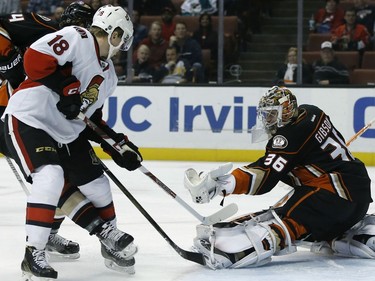 Anaheim Ducks goalie John Gibson (36) gloves the puck as Ottawa Senators center Ryan Dzingel (18) and Ducks defenseman Cam Fowler (4) watch during the first period of an NHL hockey game in Anaheim, Calif., Sunday, Dec. 11, 2016.