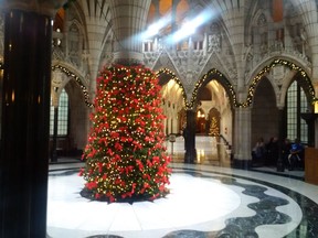 Parliament hill Christmas tree taken Wednesday in rotunda.