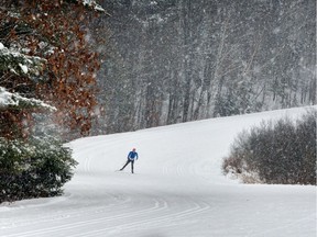 A Gatineau man had been enjoying the Gatineau Park ski trails. Only problem is, he left his skis at home and hit the trails in his Toyota Echo instead.