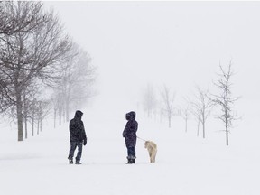 People walk through the Central Experimental Farm during a winter storm.
