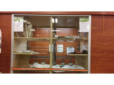Petsmart heron shop gate