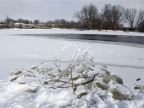 The scene where a Black Labrador was rescued by firefighters after going through thin ice at Brewer Park.