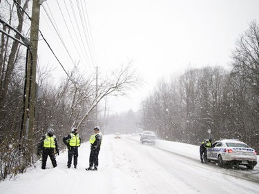 The Ottawa Police's Emergency Services Unit combs through the snow along McCarthy Road Saturday morning.