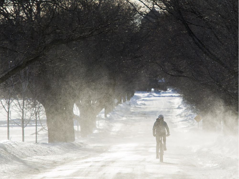 Science of Winter: Why trees don't freeze when it's freezing