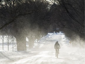 A cyclist makes her way along the windswept Morningside Lane within the Central Experimental Farm in Ottawa on Friday January 13, 2017.