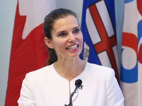 Federal Science Minister Kirsty Duncan set up an advisory panel in 2016 to examine, among other concerns, the barriers facing emerging researchers.