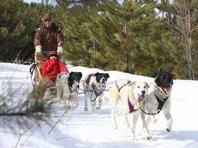 Dog sledding with the Eurodog breed of dogs is fun for the family at Timberland Tours, Bristol, Quebec. Photo by Jennifer Becker, Hemlock Hills.
For Outdoors Daytrip