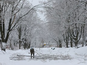 Winter's back after Thursday's thaw.