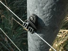 Fence posts like this one are made from recycled plastic and are completely rot proof. Though not as strong as wooden posts, they last much longer.