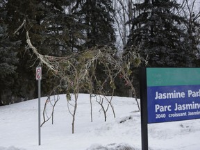 New art instalments by Marc Walter and the AOE Arts Council are intended to brighten up Gloucester's Jasmine Crescent, a neighbourhood that has been tainted with violence, Jan. 14, 2017. (David Kawai)