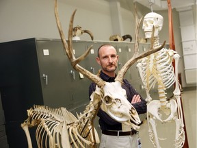 Dr Scott Rufolo stands between a human skeleton reproduction and a deer skeleton.