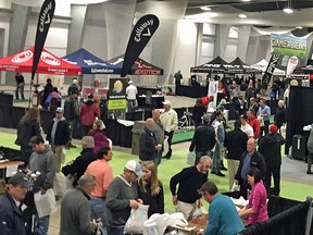 From seminars to lessons to exhibitors, 2017 Ottawa-Gatineau GOLFEXPO will feature something for everybody.