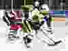 The Hamilton Bulldogs’ Niki Petti tries to get a shot on the Ottawa 67’s net.