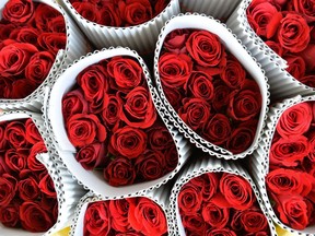 Red roses of the premium 'Taj Mahal' variety are stacked by a buyer after an auction at the International Flower Auction Bangalore (IFAB) centre in preparation for Valentines Day.