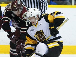 Peterborough Petes' Zach Gallant fights for the puck against Hamilton Bulldogs' Will Bitten during first period OHL action on Sunday January 1, 2017 at the Memorial Centre in Peterborough.