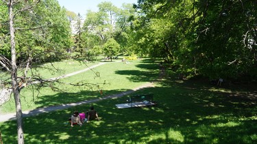 It's not just shopping and dining - The Glebe has plenty of green space to enjoy.