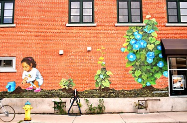 Designed by Leslie Varady of Roll Her Sleeves painting, the Morning Glory mural brightens up the side of the Glebe's Bridgehead Coffee.