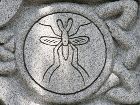 A detail of a stone carving along the Rideau Canal honouring victims of malaria.