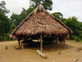 A dwelling of the Tsimane, a group of indigenous people with a traditional lifestyle deep in the Bolivian Amazon, and according to a new study released Friday March 17, 2017, they have some of the healthiest hearts on the planet, according to Dr. Randall Thompson, a cardiologist at St. Luke‚Äôs Health System in Kansas City, Missouri, USA. Scientists say the new findings underline the significance of lowering the traditional risk factors for heart disease, and like the Tsimane people, we should b