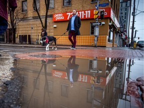 A pedestrian walks his pooch past a puddle as spring-like temps finally hit the capital region.