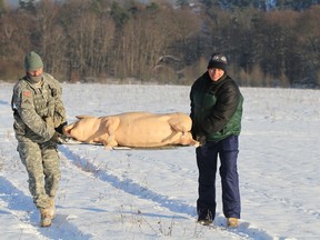 Sgt. 1st Class Troy C. Mueller, observer, coach and trainer (OCT) at the U.S. Army’s Joint Multinational Readiness Center in Hohenfels Training Area (JMRC HTA), Germany, left, and Eric Heilman, science adviser for the 7th Army Joint Multinational Training Command (JMTC), U.S. Army Europe, carry a mechanical pig to a designated site during Allied Spirit IV in Hohenfels. The pork prototype is a specially-designed training aid used for the first time in this exercise. It’s an indicator of a possible chemical, biological, radiological, nuclear or explosive (CBRN-E) attack. (U.S. Army National Guard photo by Staff Sgt. Eddie Siguenza)