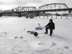 Michel Ratte had five roads on the go on the Ottawa River in Gatineau looking for walleye Thursday.