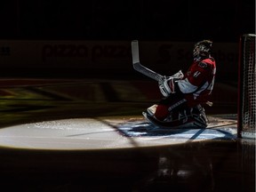 Craig Anderson receives the spotlight treatment during Senators player introductions before Saturday's game against the Canadiens.