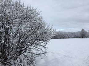 More than 20 cm of snow fell through the day Friday, making it the snowiest March 24 in history, according to at least one local observer.