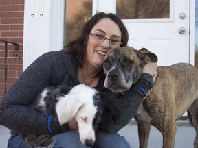 Maggie McMullen, an assistant service manager at Farm Boy recently won a contest featuring her bond with her two rescue dogs. Keegan, a two year old double dapple daschund who is blind and deaf and her 5 year old boxer mutt, Aria.