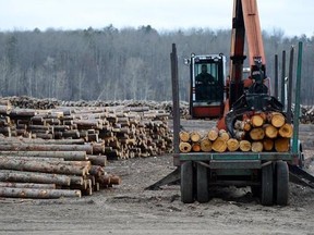 Logs are unloaded at Murray Brothers Lumber Company woodlot in Madawaska, Ontario on Tuesday April 25, 2017. The United States imposed countervailing duties of up to 24 per cent on Canadian lumber imports, opening old wounds in what has been a long-standing trade dispute between the two countries.THE CANADIAN PRESS/Sean Kilpatrick
