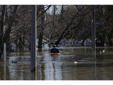 A kayaker paddles along a flooded North River Drive.