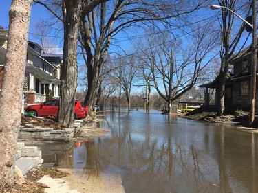 Part of Belmont Avenue in Ottawa South is covered in water.