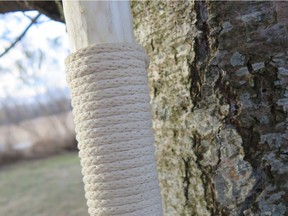 This lightweight, strong walking stick was made from a poplar sapling. No matter where you live in Canada, you can find some kind of wood for whittling a stick.