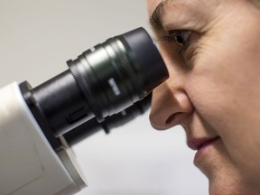 A Scientist looks at cells through a fluorescent microscope.