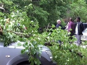 In this grab taken from video, people stand near to a vehicle covered with branches from a fallen tree following a storm, in a residential area of Moscow, Russia, Monday, May 29, 2017. Thunderstorms and strong winds buffeted Moscow and its surrounding areas on Monday, killing 11 people and injuring dozens, Russian officials said.ÔªøÔªø Ôªø (AP)