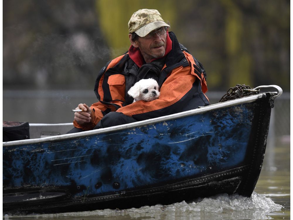 Pets 911 Animal rescue a priority during the Ottawa River flood