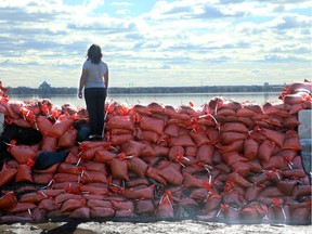 Britannia resident Janet Brown surveys how much the Ottawa River has receded from atop a wall of sandbags next to her home at the corner of Jamison and Kehoe streets Wednesday/