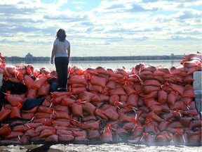 Britannia resident Janet Brown surveys how much the Ottawa River has receded from atop a wall of sandbags next to her home at the corner of Jamison and Kehoe Street.