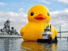 Contributed photo The world's largest rubber duck is on a six-city tour to celebrate Canada's 150th birthday, ending in Brockville Aug. 10-13.