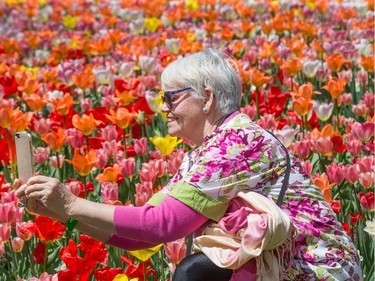 Debrah Boucher in her flowered shirt takes a selfie in front of a bed of tulips in Commissioners Park as the annual Canadian Tulip Festival gets underway in Ottawa and runs through until May 22.  Wayne Cuddington/Postmedia