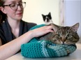 Josée Cyr (pictured) opens the Feline Cafe in Hintonburg Wednesday (May 10, 2017), where people can snuggle and pet a kitty while sipping their coffee.