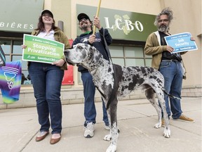 LCBO employees (L-R) Katie Sample, Mark Larocque, and J.D. Perreault and Mark's dog Blue picket in front of the LCBO store on Innes Road. They are concerned with the number of casual employees and privatization. May 25,2017. Errol McGihon/Postmedia