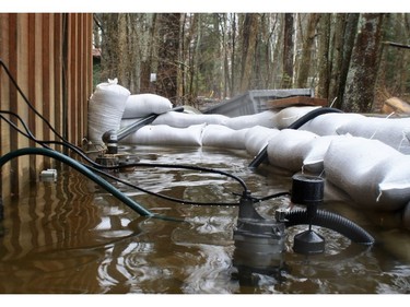Golden Lake resident Graham O'Marra has deployed hundreds of sandbags and seven sump pumps to keep flood waters at bay.