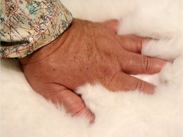 Sealskin, along with other hides, are exhibited in cheeky fashion, with the tagline: "Seal is the new black." The media got a sneak peek at the Canadian Museum of Nature's new permanent Canada Goose Arctic Gallery Tuesday (June 20, 2017). The 8,000 foot space -  filled with over 200 specimens and artifacts, including a rotating Indigenous gallery and huge moving ice display -  is the museum's Canada 150 legacy project that will open to the public Wednesday (June 21, 2017). Julie Oliver/Postmedia
Julie Oliver, Postmedia