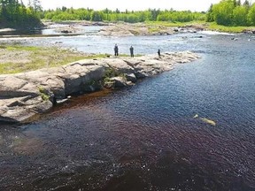 Animal rescuers hope to capture and relocate an endangered beluga whale that has been making its home in a northern New Brunswick river for several weeks look at the whale from shore in this undated handout image. THE CANADIAN PRESS/HO-Marine Animal Response Society