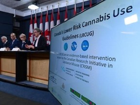 Dr Benedikt Fischer, right, speaks in Ottawa on Friday, June 23, 2017. He is joined by an international team of experts as they release guidelines aimed at lowering the health risks of cannabis use. THE CANADIAN PRESS/Sean Kilpatrick