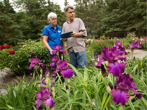 David Priest, tech developer and avid gardener, has teamed up with Suzanne Patry of Whitehouse Perennials outside Almonte and created a web app that allows gardeners to combine plants virtually from nurseries like Whitehouse. Wayne Cuddington/Postmedia
Wayne Cuddington, Postmedia