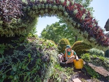 A gardener at work as we get a sneak peek tour of the MosaiCanada 150 gardens opening at the end of June in Jacques Cartier Park in Gatineau.